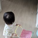 아기 유모차 똘똘이 장난감 후기