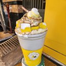 코코앤망고 이미지