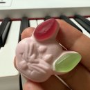 디여라 | 250804-250824 주간일기