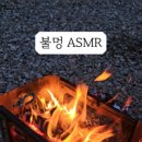 홍천반딧불캠핑장 이미지