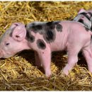 CU통영북신에이스점 이미지