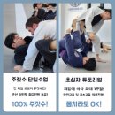블랙캣주짓수 네이버블로그