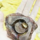 요리하는 집사 이미지