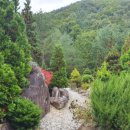 솔향수목원(전시온실) 이미지