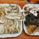 양손의즐거움 이미지