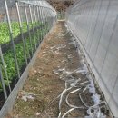 대한농자재 이미지