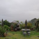 한옥과편백의 만남 이미지