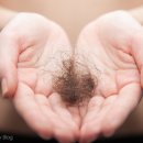 뽑기돼지 이미지