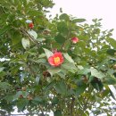 적상면011 이미지