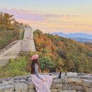 신토불이 보은점 이미지