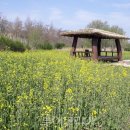 생태습지 이미지