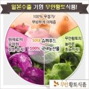 보문호반길 이미지