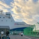 함덕 푸른밤 | [제주 한달살이 day 1-4] 돌아기랑 퀸제누비아/제주도 이유식/함덕 해수욕장/제주 일상