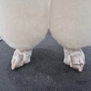 신운미애견미용실 | 애견미용학원 애견미용자격증 솔직후기 자격증 속성으로 따고 애견미용실 취업 성공