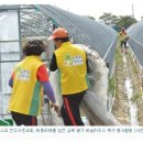 [신천지 태풍] 신천지 태풍에 ??신천지예수교 전주시온교회, 수해복구 앞장서 피해농가에 희망을! 이미지