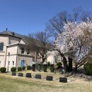 합덕연지마을 이미지