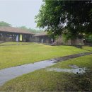 교래자연휴양림 이미지