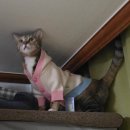 (주)세루 | 케세라세라!