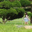 새로나침구 - 광진구 아차산로29길 56 | 새로나침구