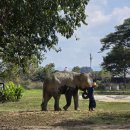 140 키즈 수영장 오류점 | 치앙마이 샹그릴라 호텔 디럭스룸 수영장 조식 키즈클럽 상세 후기