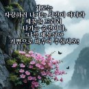 리버힐경로당 Daum카페
