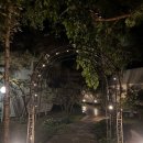 글램핑봄 | 파인포레스트 글램핑 다녀온 후기 봄 감성 가득했던 가평글램핑 우정여행
