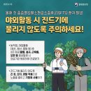다감 이미지