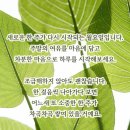 행복미소(주)