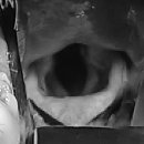 동주동물병원 이미지