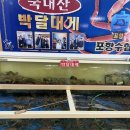 포항수협중매인39