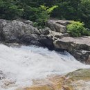 경남 함양군(거망산 1,184m) 용추계곡-용추자연휴양림-수망령 코스/2023.7.28.금 이미지