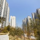 오늘투데이공인중개사사무소 이미지