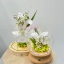 리골프스튜디오 | 꽃집 이번에도 신부님이 직접 선택한 곳!! 유리 돔, 우드 오르골 리부케 제작후기(쥬아드플라워스튜디오)