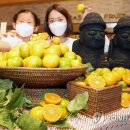 제주하우스 이미지