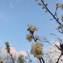 남계137 | 서울 데이트:) 국립중앙박물관 석조물 정원 - 이색 데이트