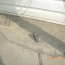 동아카써비스 이미지