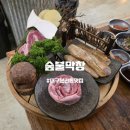 오늘은막창이다 | 대구 본리동 막창 맛집 분위기 좋은 숲불막창 후기