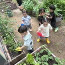 바깥놀이&amp;산책&amp;실내대체활동&amp;자연친화텃밭활동🍃 이미지