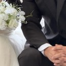 피터리스튜디오 | 강원도 웨딩 최신 소식 총정리 | 삼척 쏠비치·원주 빌라드아모르·하이원 그랜드호텔까지
