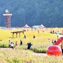 파천면사무소 이미지