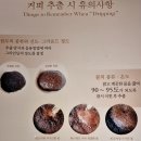 전주이씨덕흥군파종중 | 이곳을 방문하면 커피맛이 달라진다. 커피를 사랑하는 사람이라면 『왈츠 &amp; 닥터만 커피박물관』