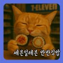 세븐일레븐진해이동점 | 세븐일레븐 반반김밥 솔직후기, 돈까스와 제육볶음 한 줄로 즐기기