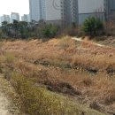 구산천 이미지