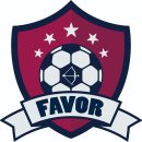 페이버FC