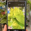 6730 | 폴드7 강화유리 액정보호필름 추천 | 신지모루 가성비 효능 솔직후기