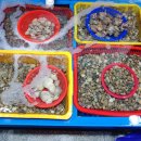 화순상회 이미지