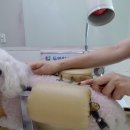 다올한방병원 네이버블로그