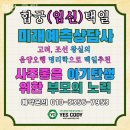 예스코디 이미지