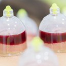 혈액순환에 따른 일반적인 치료원리(필독권장) 이미지