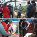 국립농산물품질관리원 통영·거제사무소 | ‘스타★팜’으로 다가온 거제 한라봉 <새거제신문>